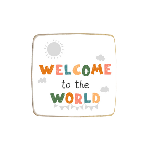 "Welcome to the World" Custom Cookies