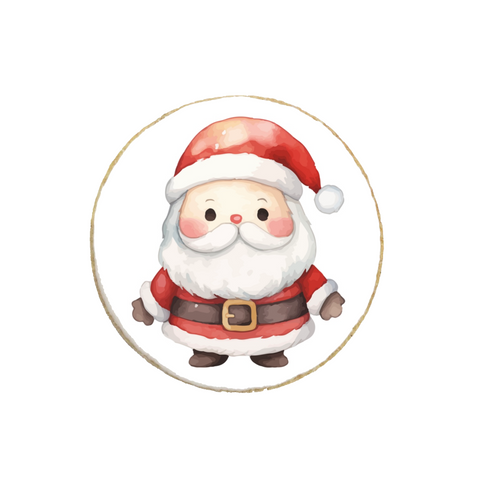 "Santa" Christmas & New Year Cookies