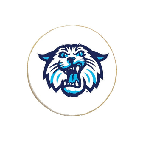 Villanova University Graduation Custom Cookies