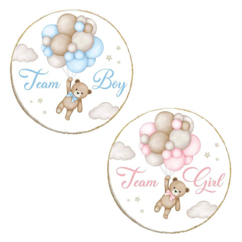 Girl or Boy Team Teddy Themed Gender Reveal Custom Cookies