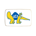 University of Irvine Graduation Cookies - Modern Bite