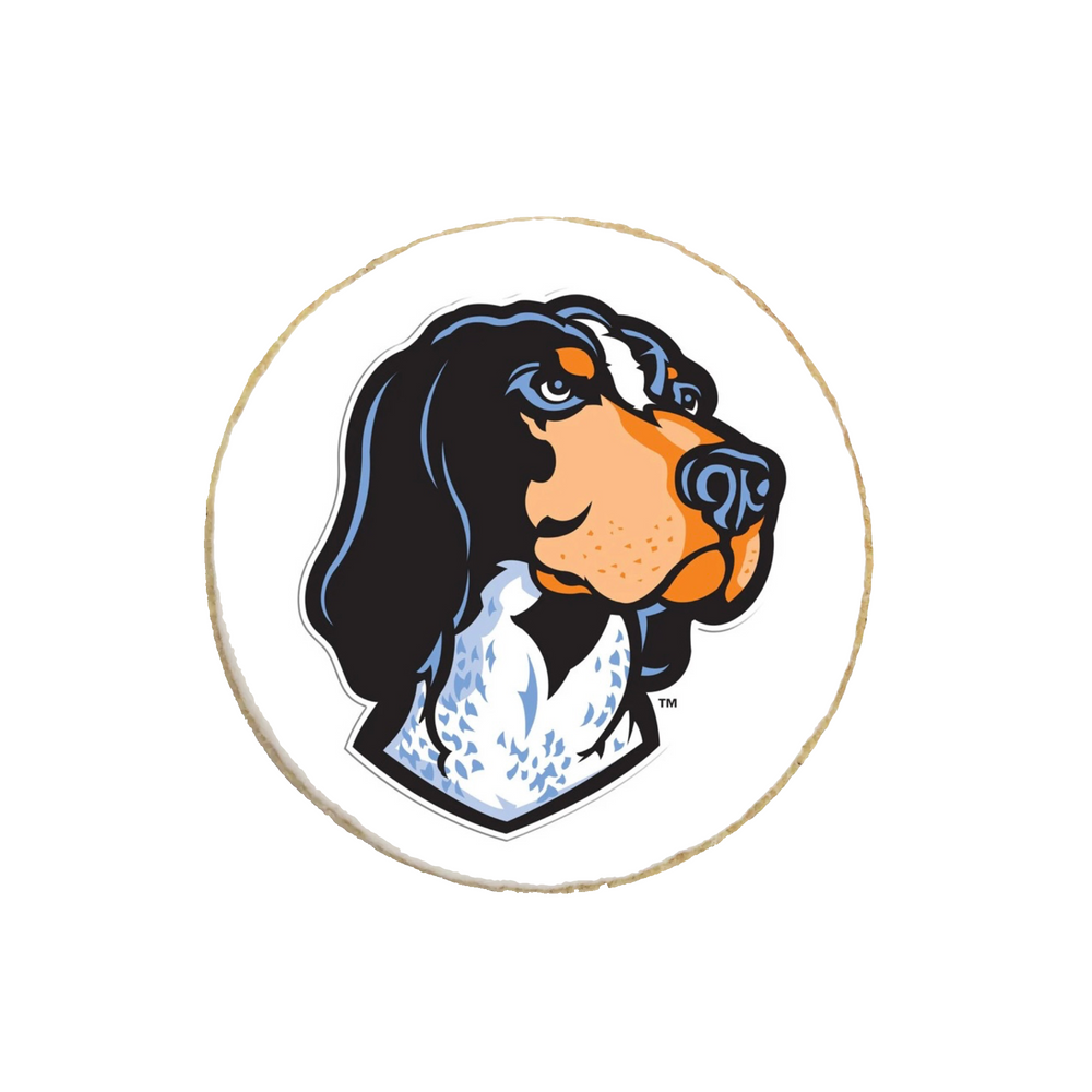 University of Tennessee Graduation Cookies - Modern Bite