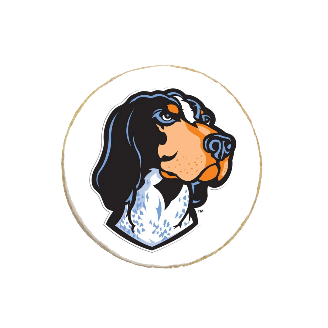 University of Tennessee Graduation Cookies - Modern Bite