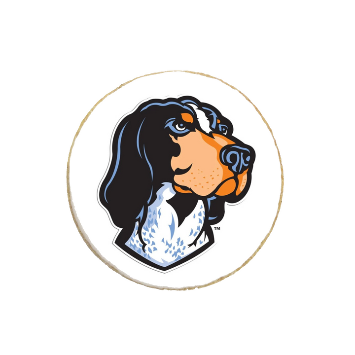 University of Tennessee Graduation Cookies - Modern Bite