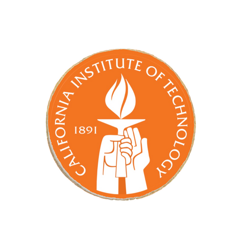 CalTech University Graduation Cookies