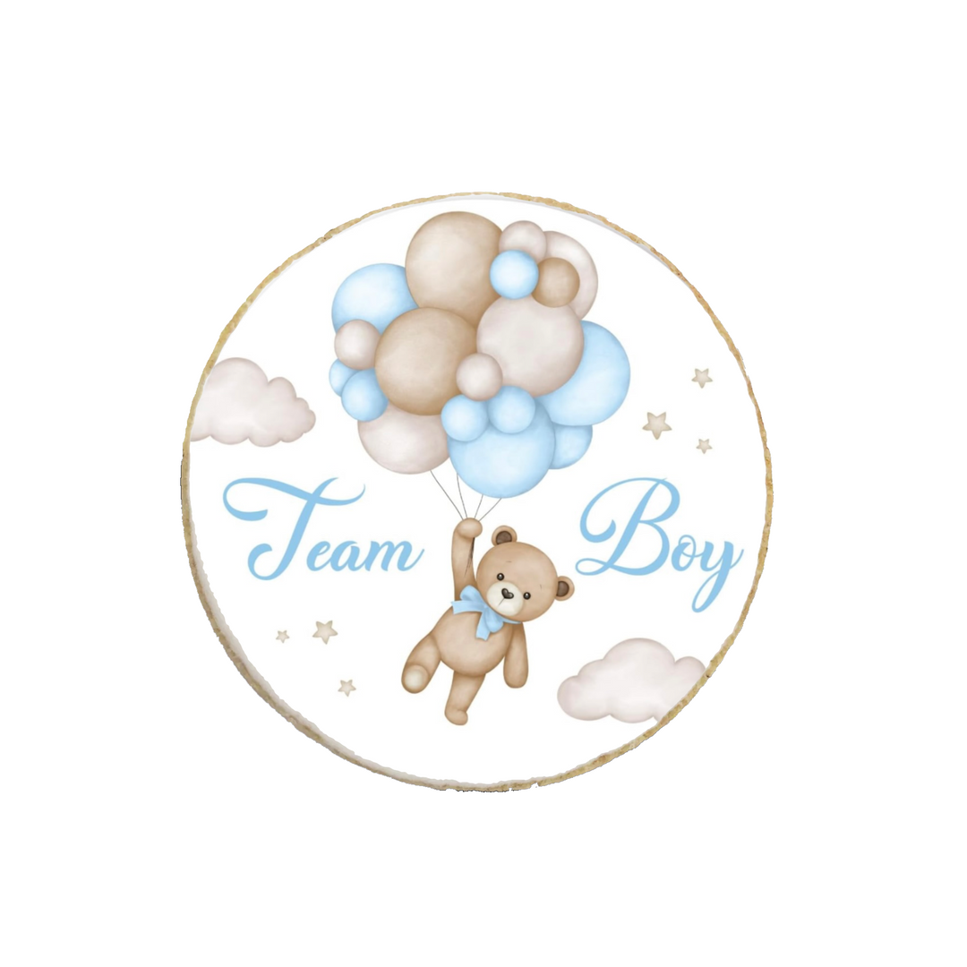 Girl or Boy Team Teddy Themed Gender Reveal Custom Cookies - Modern Bite