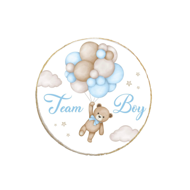 Girl or Boy Team Teddy Themed Gender Reveal Custom Cookies - Modern Bite
