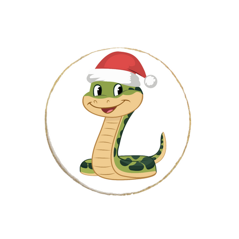 "Snake" 2025 New Year Custom Cookies