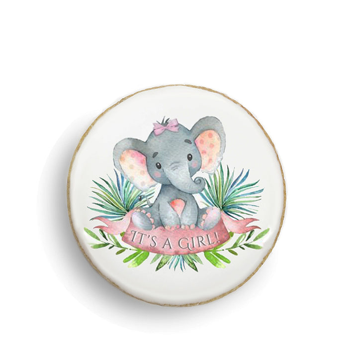 Baby Shower Elephant Cookies - Modern Bite